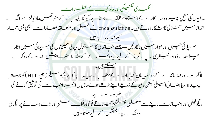 Key technical & market risks